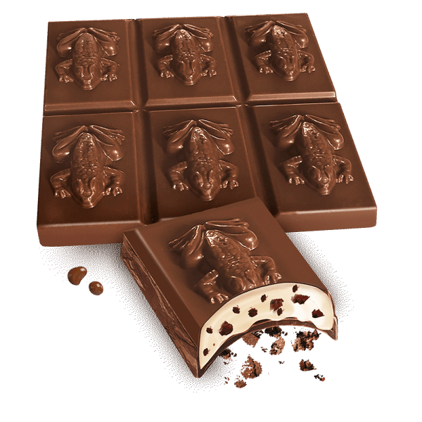 Harry Potter Mleczna Czekolada "Czekoladowe Żaby" z Mlecznym Nadzieniem i Pokruszonymi Ciasteczkami 300g