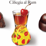 Vannucci Gran Selezione di Cioccolatini Bogata Kolekcja Luksusowych Pralin Premium 490g