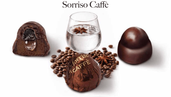 Vannucci Gran Selezione di Cioccolatini Bogata Kolekcja Luksusowych Pralin Premium 490g